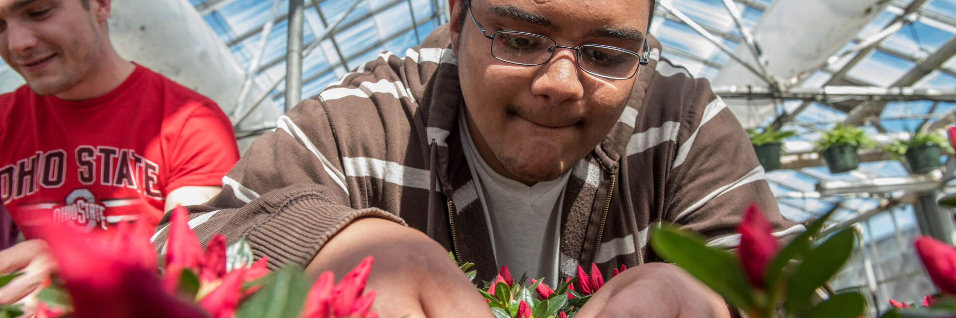 Student picking leaves off of plant in a greenhouse.